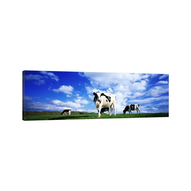 Cows In Field, Lake District, England, United Kingdom August Grove Size: 30.48cm H x 91.44cm W x 1.91cm D on Productcaster.