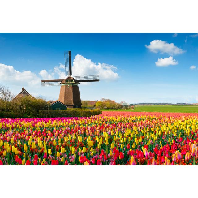 Dutch Spring Scene - Print Brambly Cottage Size: 20cm H x 30cm W on Productcaster.