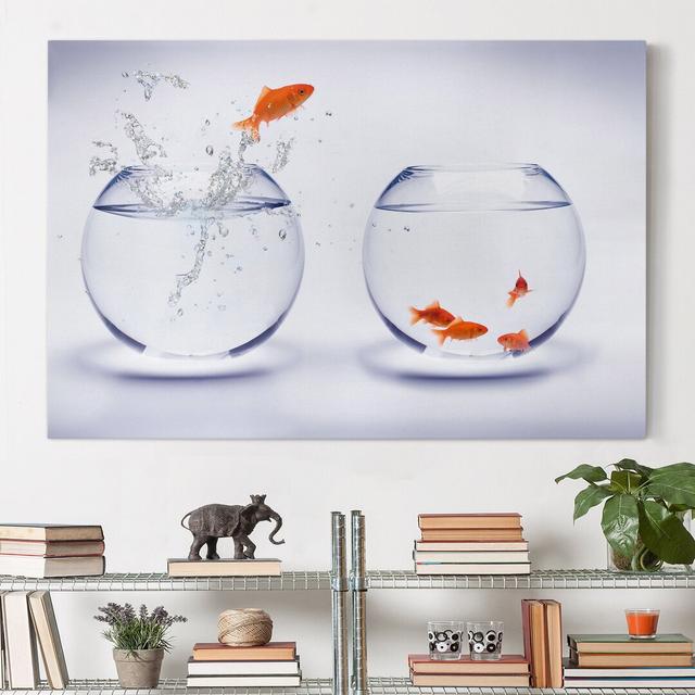 Flying Goldfish Art Print on Canvas Ebern Designs Size: 40cm H x 60cm W on Productcaster.