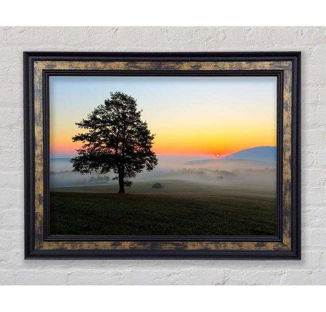 Misty Sunrise Framed Print Bright Star Size: 29.7cm H x 42cm W on Productcaster.