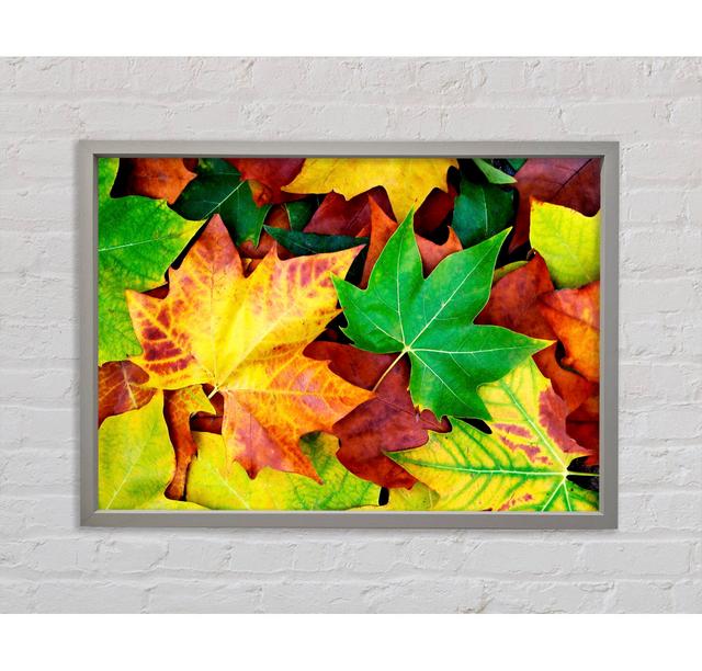 Autumn Leaves Fallen - Single Picture Frame Art Prints on Canvas Bright Star Size: 59.1cm H x 84.1cm W x 3.3cm D on Productcaster.