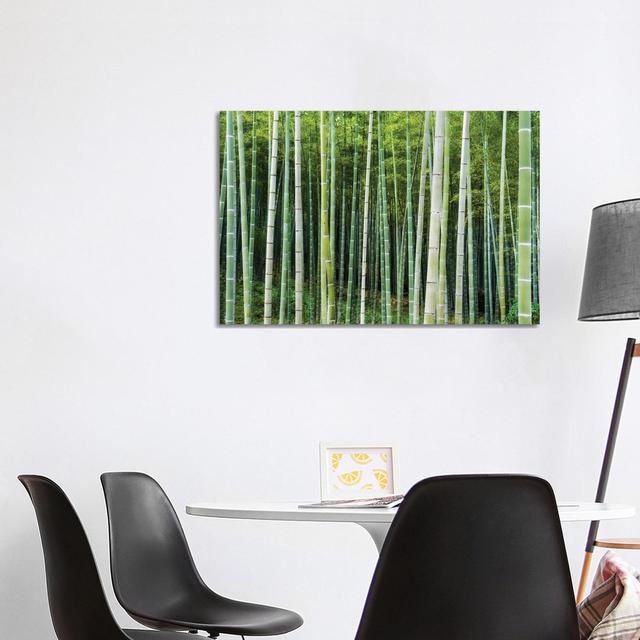 Green Bamboo by Jan Becke - Wrapped Canvas Print Alpen Home Size: 66.04cm H x 101.6cm W x 1.91cm D on Productcaster.