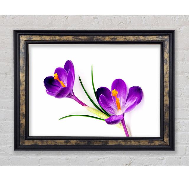 Purple In Bloom - Single Picture Frame Print Latitude Run Format: Gold/Black Framed Paper, Size: 42cm H x 59.7cm W x 8cm D on Productcaster.