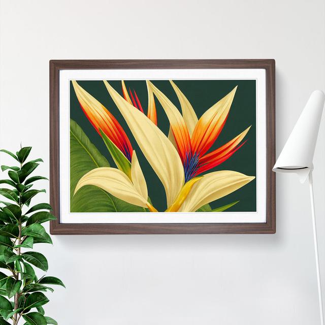 Spellbinding Bird of Paradise Flower - Picture Frame Graphic Art 17 Stories Size: 46cm H x 64cm W, Frame Colour: Walnut Frame on Productcaster.