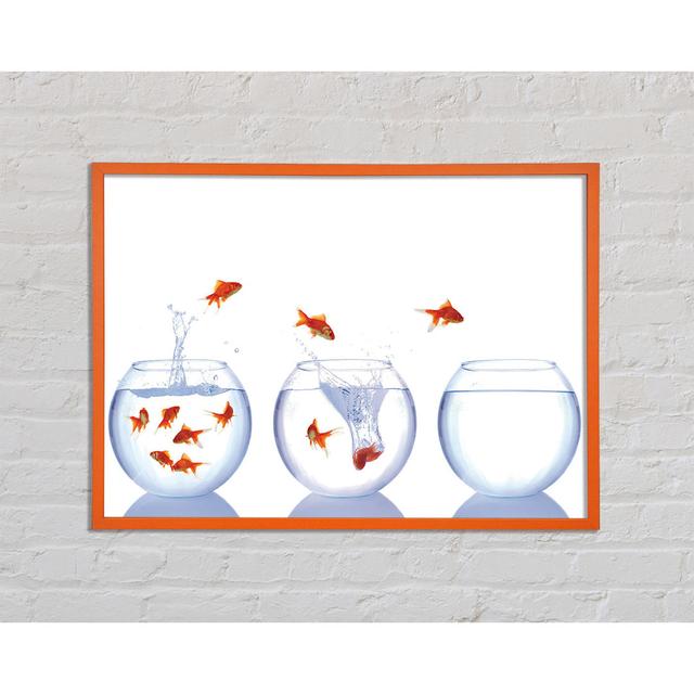 Andreano Jumping Goldfish Trio - Single Picture Frame Art Prints Brayden Studio Size: 42cm H x 59.7cm W x 2cm D on Productcaster.