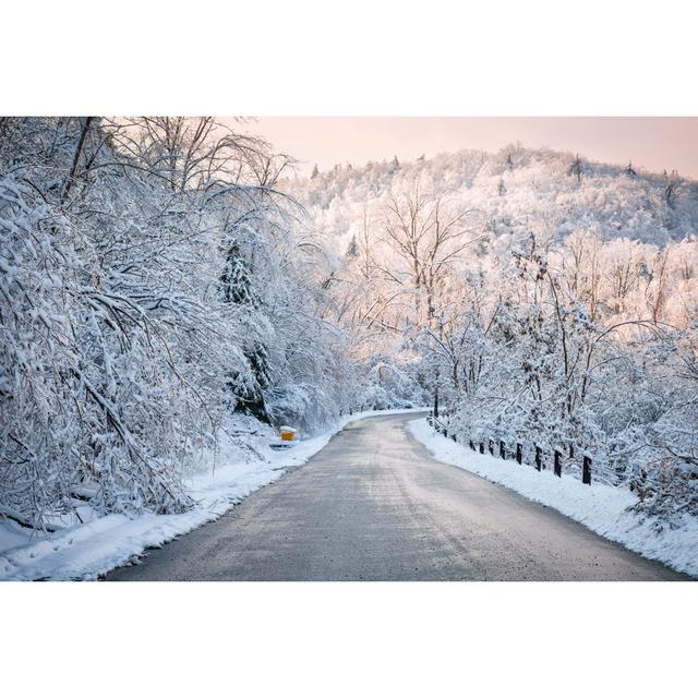 Snowy Forest - Wrapped Canvas Photograph Union Rustic Size: 20cm H x 30cm W x 3.8cm D on Productcaster.