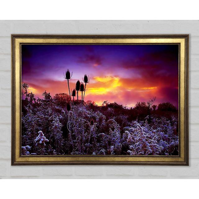 Winter Skies - Single Picture Frame Art Prints Rosalind Wheeler Size: 21cm H x 29.7cm W x 1.5cm D on Productcaster.