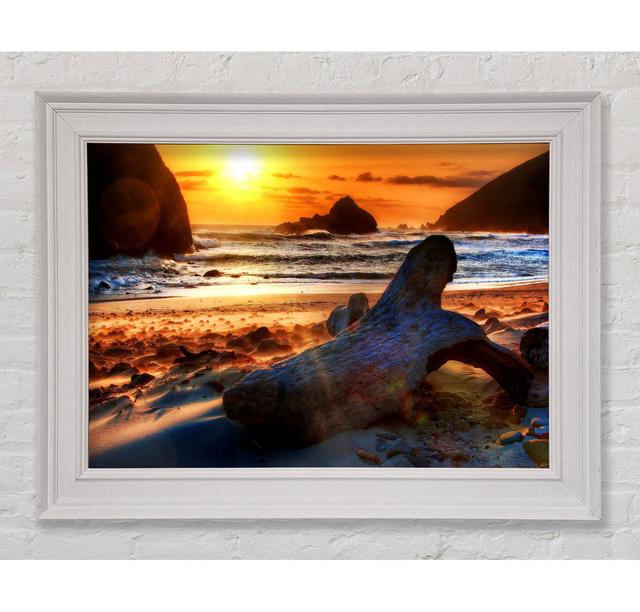 Driftwood at Sunset House of Hampton Format: White Framed Paper, Size: 42cm H x 59.7cm W x 8cm D on Productcaster.