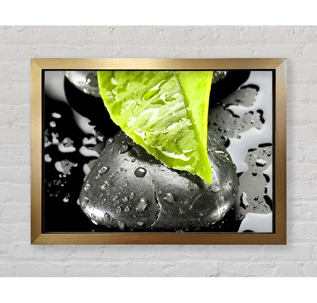 Zen Stone And Leaf - Single Picture Frame Art Prints Ebern Designs Size: 59.7cm H x 84.1cm W on Productcaster.