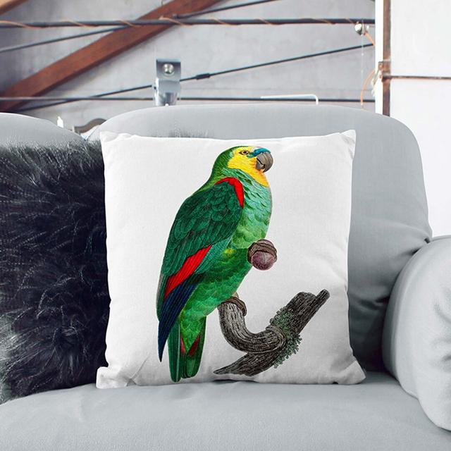 A Turquoise-Fronted Amazon Parrot by F. Levaillant Cushion with Filling East Urban Home Size: 40 x 40 cm, Backing Colour: Black on Productcaster.