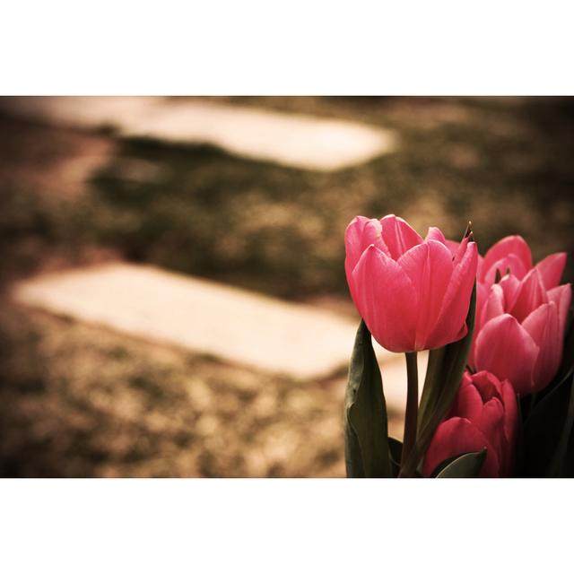 Cemetary Tulips by JennaWagner - No Frame Print on Canvas 17 Stories Size: 81cm H x 122cm W on Productcaster.