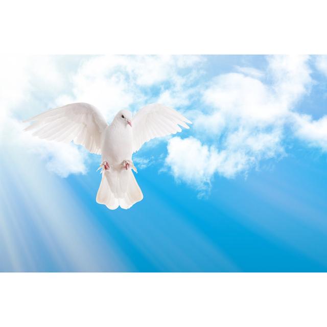 Dove and Sky 520860673 Latitude Run Size: 30cm H x 46cm W on Productcaster.