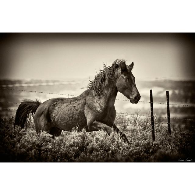 Running Horse - Wrapped Canvas Art Prints Natur Pur Size: 20cm H x 30cm W on Productcaster.