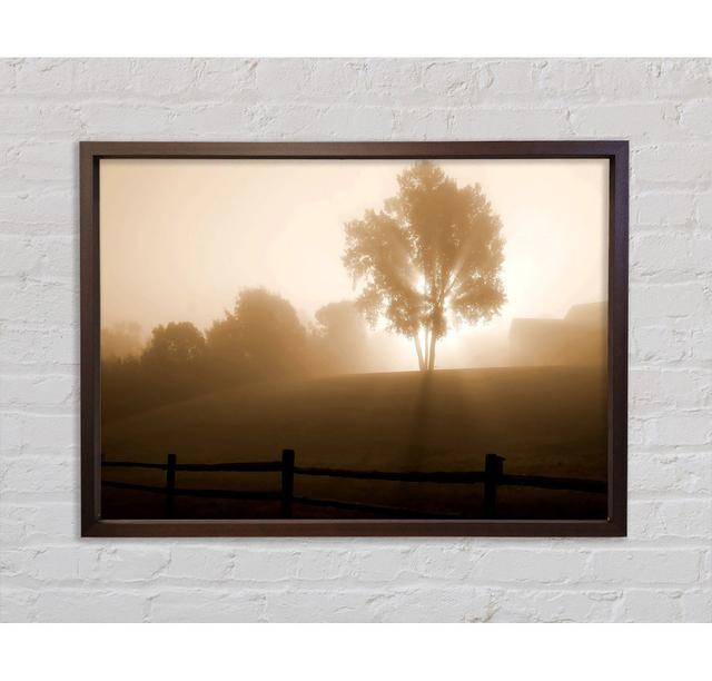 Foggy Morning - Single Picture Frame Art Prints on Canvas Bright Star Size: 100cm H x 141.4cm W x 3.3cm D on Productcaster.