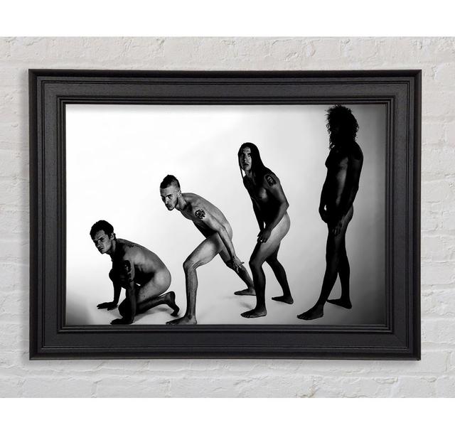 Red Hot Chili Peppers Evolution - Print Ebern Designs Format: Black Framed Paper, Size: 29.7cm H x 42cm W x 8cm D on Productcaster.