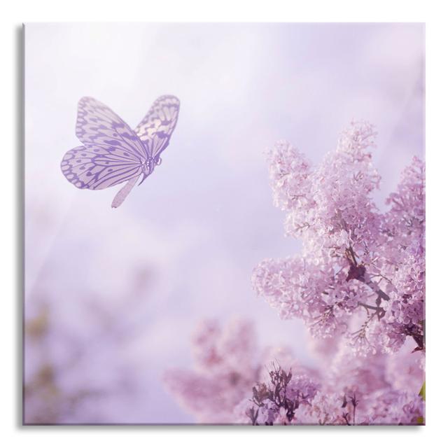 Butterfly Cherry Blossoms - No Frame Print on Glass August Grove Size: 70cm H x 70cm W x 0.4cm D on Productcaster.