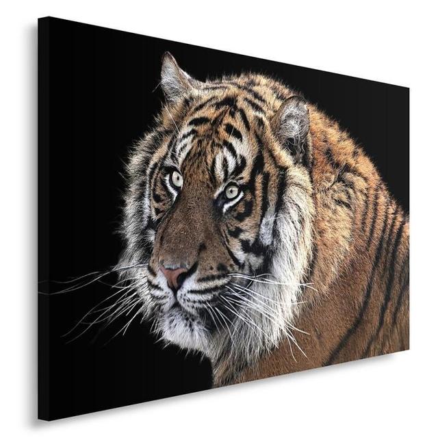 Tiger 3 - Wrapped Canvas Panting Print World Menagerie Size: 80cm H x 120cm W on Productcaster.