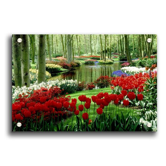 Tulip River Forest - Unframed Photograph Print on Acrylic East Urban Home Size: 21cm H x 29.7cm W on Productcaster.