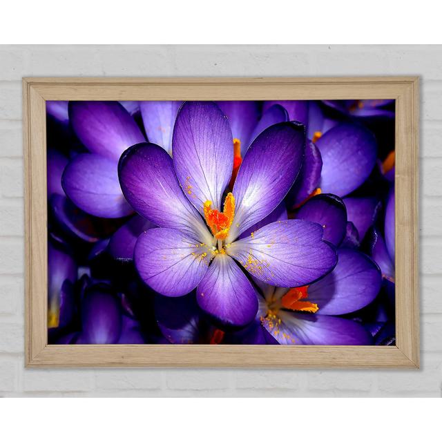 Single Picture Frame Art Prints Ebern Designs Size: 84.1cm H x 118.9cm W on Productcaster.