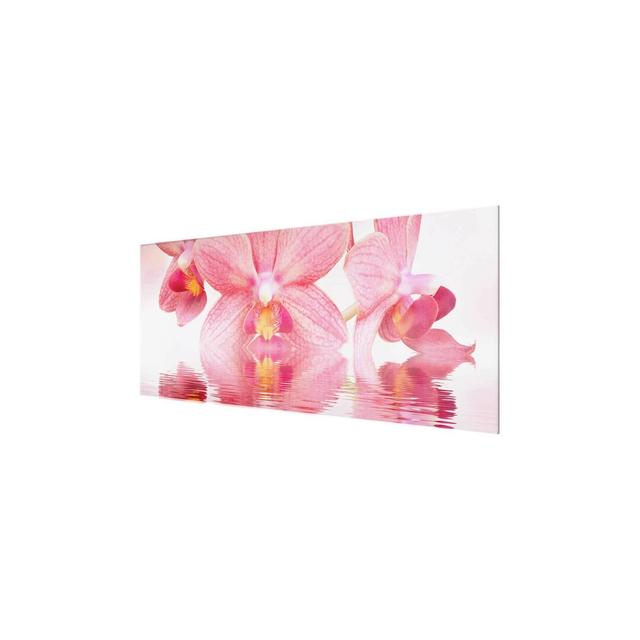 'Pink Orchids on Water' Photograph on Glass East Urban Home Size: 40 cm H x 100 cm W on Productcaster.