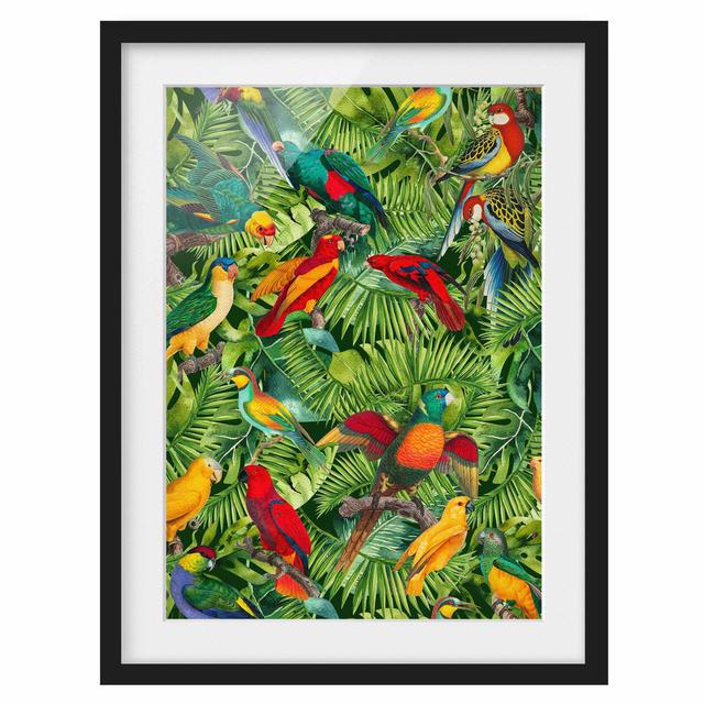 Colourful Collage - Parrots in the Jungle - Picture Frame Graphic Art Bay Isle Home Size: 40cm H x 30cm W x 2cm D, Frame Option: Black on Productcaster.