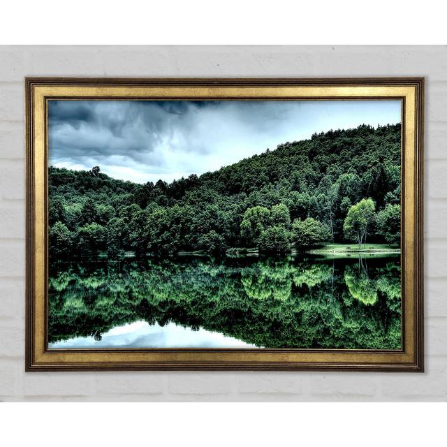 Forest Lake Reflection - Single Picture Frame Art Prints Union Rustic Size: 21cm H x 29.7cm W x 1.5cm D on Productcaster.