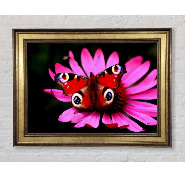 Butterfly Infusion Framed Print Bright Star Size: 100cm H x 141.4cm W x 8cm D on Productcaster.