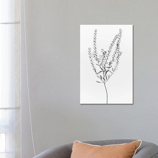 Dried Plant by Magda Izzard - Wrapped Canvas Graphic Art Ophelia & Co. Size: 66.04cm H x 45.72cm W on Productcaster.