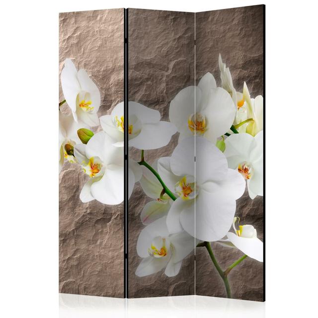 Omalley Impeccability of the Orchid II Room Divider Latitude Run Number of Panels: 3 on Productcaster.