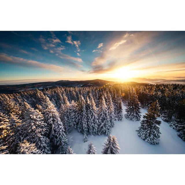 Winter Sunrise Above The Forest by Borchee - No Frame Art Prints on Canvas Alpen Home Size: 20cm H x 30cm W on Productcaster.