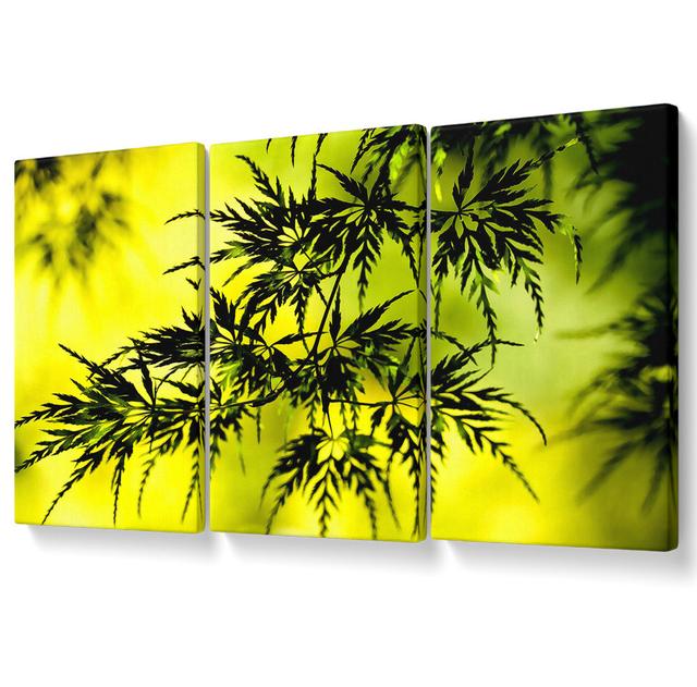 Summer Tree Leaves - 3 Piece Wrapped Canvas Graphic Art Ebern Designs Size: 81.3cm H x 163cm W on Productcaster.