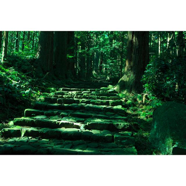 Kumano, Daimonzaka by Gyro - Wrapped Canvas Photograph 17 Stories Size: 81cm H x 122cm W on Productcaster.