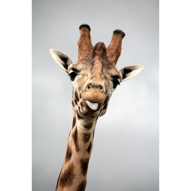 Giraffe Portrait by Nicholas Free - No Frame Art Prints on Canvas 17 Stories Size: 46cm H x 30cm W on Productcaster.