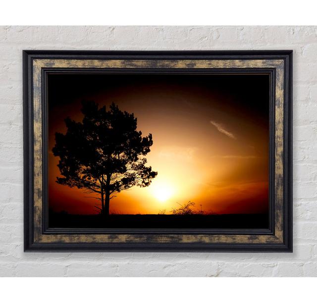 Sunrise Tree - Single Picture Frame Art Prints Bright Star Size: 42cm H x 59.7cm W x 8cm D on Productcaster.