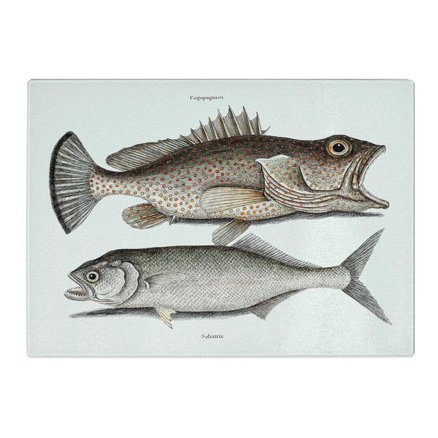 Tempered Glass Skipjack & Hind Fish by Mark Catesby Chopping Board East Urban Home Size: 39 cm x 28.5 cm on Productcaster.