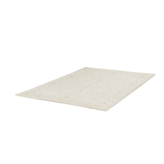 Lobke Cream Area Rug 17 Stories Rug Size: Rectangle 120 x 170cm on Productcaster.