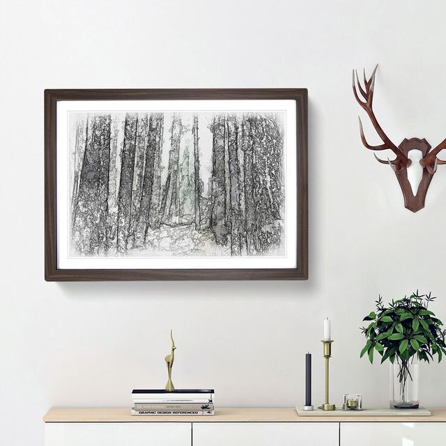 View of a Pine Tree Forest Sketch - Picture Frame Graphic Art Print East Urban Home Size: 45cm H x 63cm W x 2cm D, Frame Option: Walnut Framed on Productcaster.