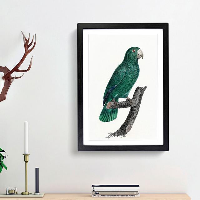 Emerald Cuban Amazon Parrot by F. Levaillant - Picture Frame Painting Print East Urban Home Size: 65cm H x 48cm W x 2cm D, Frame Option: Black Framed on Productcaster.