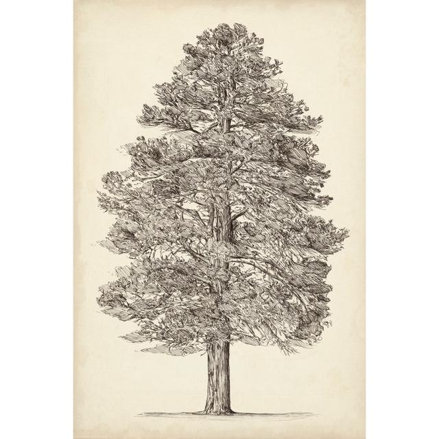 Pacific Northwest Tree Sketch III - Wrapped Canvas Art Prints Rosalind Wheeler Size: 46cm H x 30cm W x 3.8cm D on Productcaster.