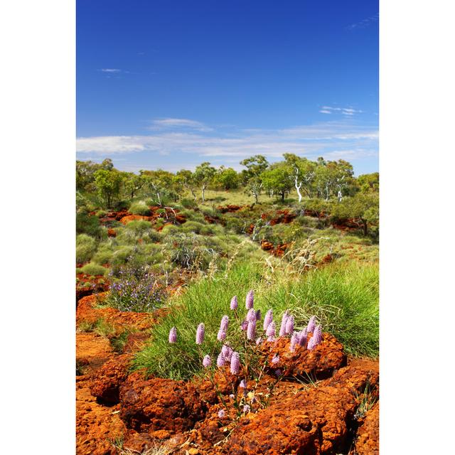 Karijini National Park by J_Knaupe - Wrapped Canvas Photograph 17 Stories Size: 46cm H x 30cm W on Productcaster.