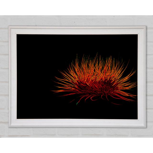 Red Thing - Single Picture Frame Art Prints Brayden Studio Size: 29.7cm H x 42cm W x 1.5cmD on Productcaster.