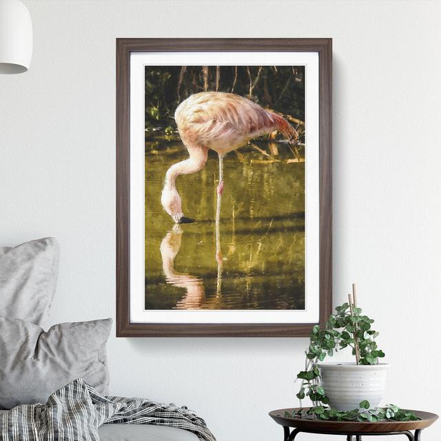 Pink Flamingo Vol.2 - Picture Frame Graphic Art East Urban Home Frame Option: Walnut Framed, Size: 48cm H x 36cm W x 2cm D on Productcaster.