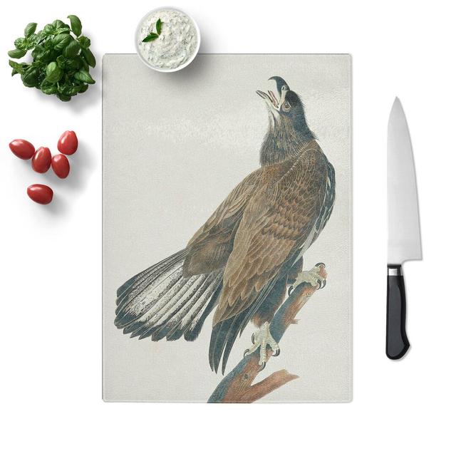 Tempered Glass White-Headed Eagle by John James Audubon Chopping Board East Urban Home Size: 20 cm W x 28.5 cm L on Productcaster.