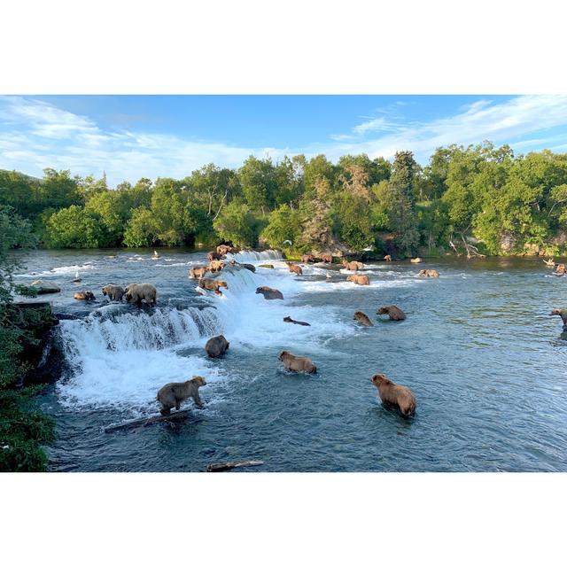 Bears At Brooks Falls by Mark Kostich - Wrapped Canvas Print Alpen Home Size: 51cm H x 76cm W on Productcaster.