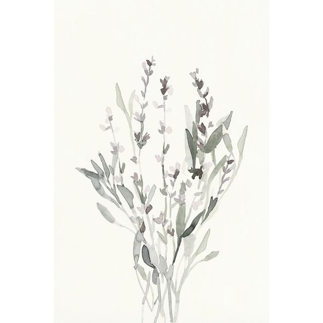 Delicate Sage Botanical V by Emma Caroline - Wrapped Canvas Painting Print Marlow Home Co. Size: 46cm H x 30cm W on Productcaster.