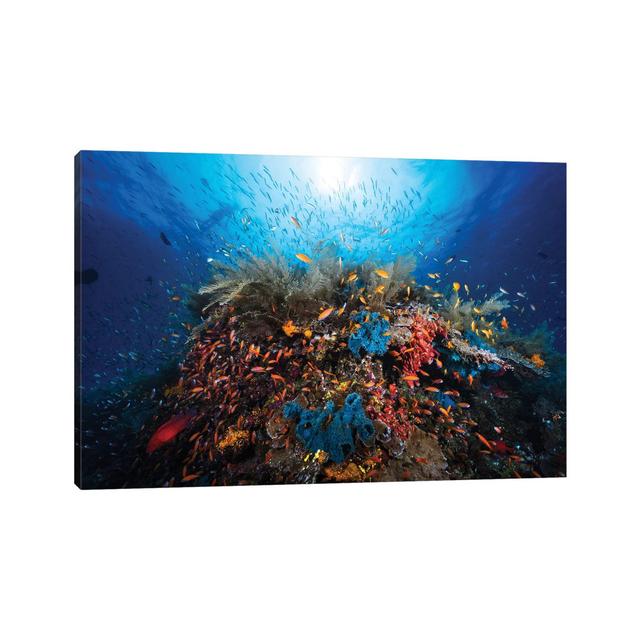 Apnea by Barathieu Gabriel - Wrapped Canvas Photograph Highland Dunes Size: 66.04cm H x 101.6cm W x 1.91cm D on Productcaster.