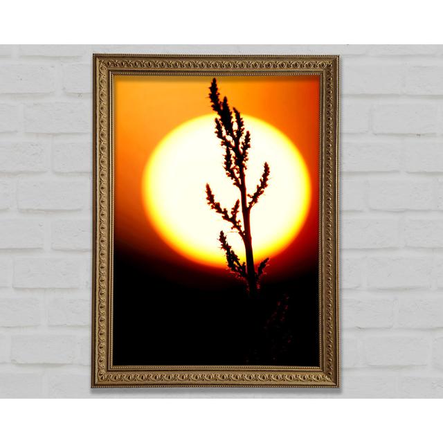 Stunning Sun Glow Orange - Single Picture Frame Art Prints Ebern Designs Size: 84.1cm H x 59.7cm W on Productcaster.