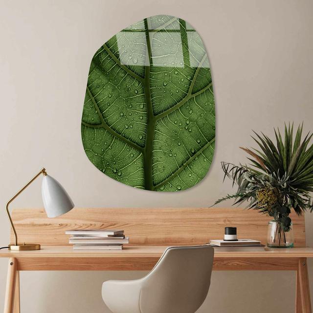 Glasbild Dekorativ Hanah Home on Productcaster.