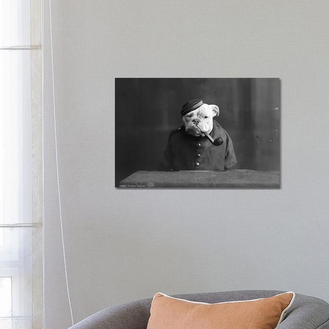 Bulldog, C1905 - Wrapped Canvas Photograph Happy Larry Size: 45.72cm H x 66.04cm W x 1.91cm D on Productcaster.