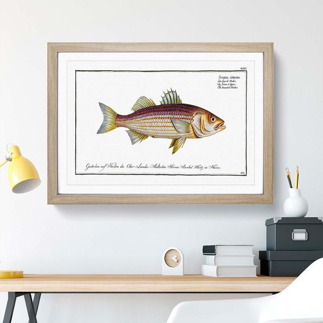 Lineated Umber Fish by M.E. Bloch - Picture Frame Painting Print East Urban Home Frame Option: Oak Framed, Size: 27cm H x 36cm W x 2cm D on Productcaster.